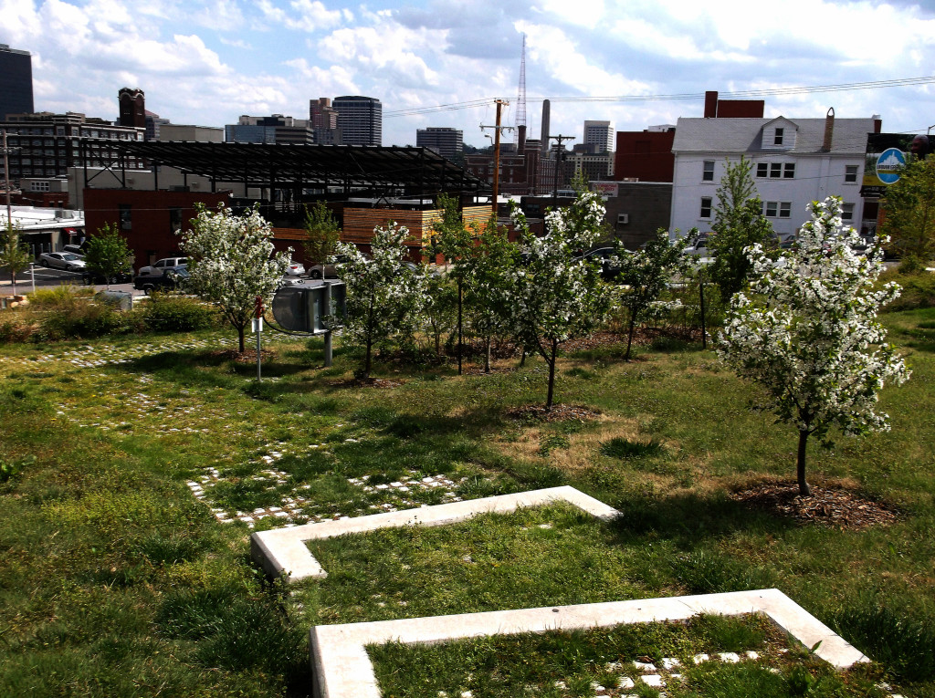 KC Community Garden